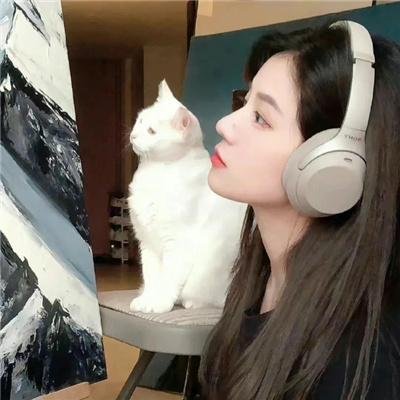 小猫熊历险记
